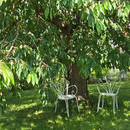 Exklusive - Direkt Am Waldrand - Grosser Garten Kompett Umzaeunt - Hunde Willkommen - 2 Private Stellplaetze * Bad Salzschlirf