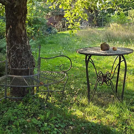 Exklusive - Direkt Am Waldrand - Grosser Garten Kompett Umzaeunt - Hunde Willkommen - 2 Private Stellplaetze Apartmán *