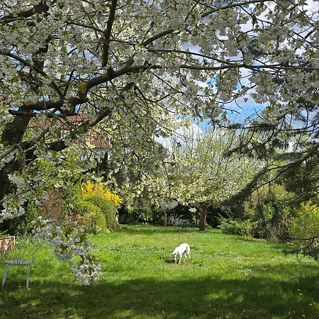 Exklusive - Direkt Am Waldrand - Grosser Garten Kompett Umzaeunt - Hunde Willkommen - 2 Private Stellplaetze Bad Salzschlirf