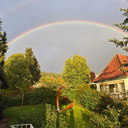 Exklusive - Direkt Am Waldrand - Grosser Garten Kompett Umzaeunt - Hunde Willkommen - 2 Private Stellplaetze Apartmán Bad Salzschlirf