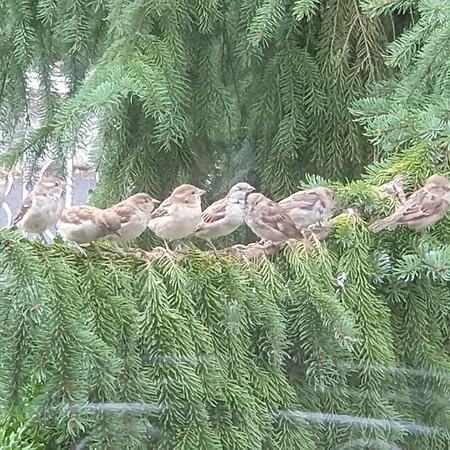 Apartmán Exklusive - Direkt Am Waldrand - Grosser Garten Kompett Umzaeunt - Hunde Willkommen - 2 Private Stellplaetze *