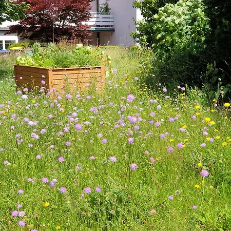 Exklusive - Direkt Am Waldrand - Grosser Garten Kompett Umzaeunt - Hunde Willkommen - 2 Private Stellplaetze Apartmán Bad Salzschlirf