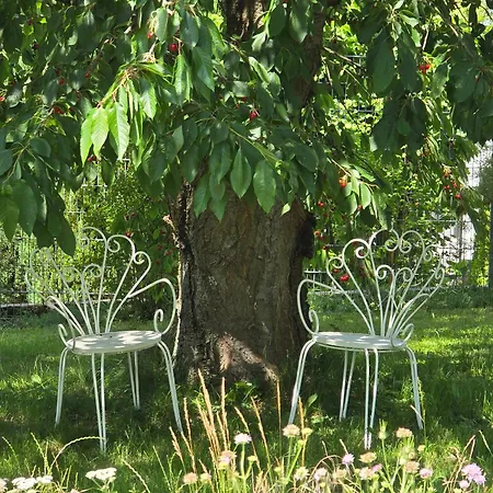 Exklusive - Direkt Am Waldrand - Grosser Garten Kompett Umzaeunt - Hunde Willkommen - 2 Private Stellplaetze * Bad Salzschlirf