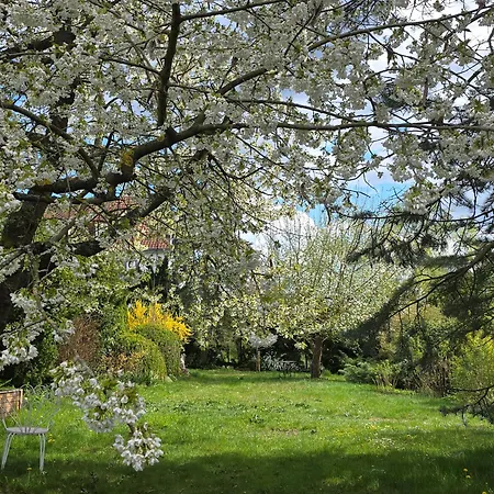 Apartmán Exklusive - Direkt Am Waldrand - Grosser Garten Kompett Umzaeunt - Hunde Willkommen - 2 Private Stellplaetze Bad Salzschlirf