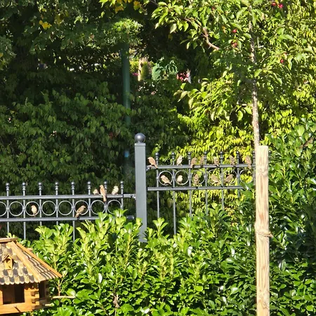 Exklusive - Direkt Am Waldrand - Grosser Garten Kompett Umzaeunt - Hunde Willkommen - 2 Private Stellplaetze Apartmán Bad Salzschlirf