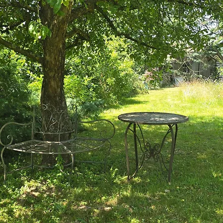 Exklusive - Direkt Am Waldrand - Grosser Garten Kompett Umzaeunt - Hunde Willkommen - 2 Private Stellplaetze * Bad Salzschlirf