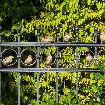Apartmán Exklusive - Direkt Am Waldrand - Grosser Garten Kompett Umzaeunt - Hunde Willkommen - 2 Private Stellplaetze *