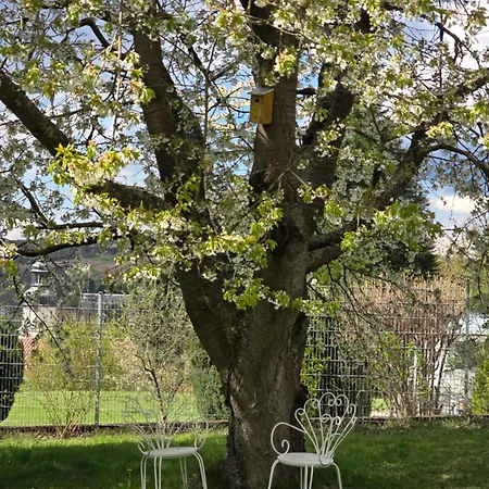 Apartmán Exklusive - Direkt Am Waldrand - Grosser Garten Kompett Umzaeunt - Hunde Willkommen - 2 Private Stellplaetze