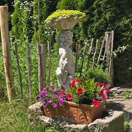 Exklusive - Direkt Am Waldrand - Grosser Garten Kompett Umzaeunt - Hunde Willkommen - 2 Private Stellplaetze