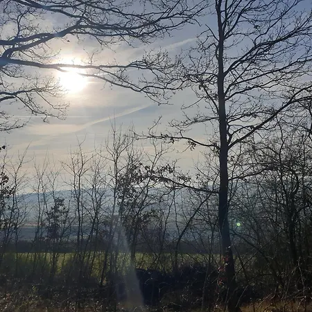 Apartmán Exklusive - Direkt Am Waldrand - Grosser Garten Kompett Umzaeunt - Hunde Willkommen - 2 Private Stellplaetze