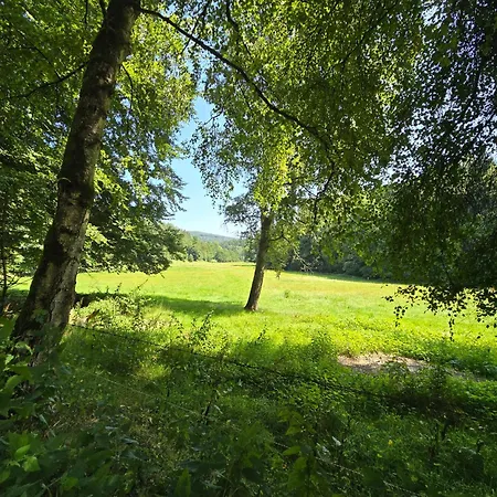 Exklusive - Direkt Am Waldrand - Grosser Garten Kompett Umzaeunt - Hunde Willkommen - 2 Private Stellplaetze