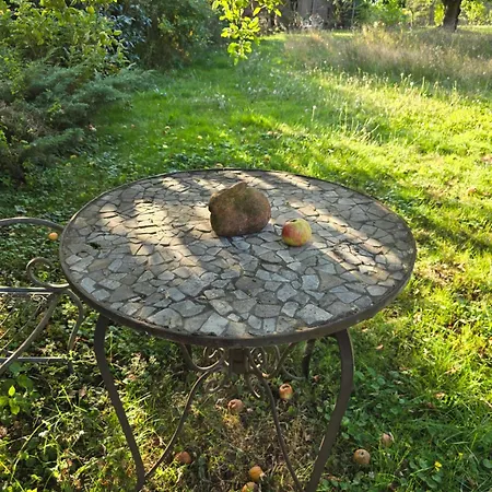 Exklusive - Direkt Am Waldrand - Grosser Garten Kompett Umzaeunt - Hunde Willkommen - 2 Private Stellplaetze 아파트
