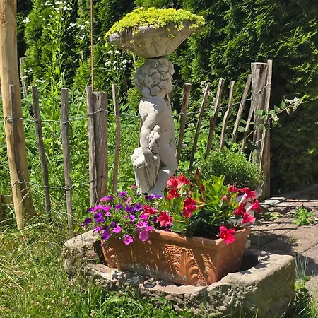 Exklusive - Direkt Am Waldrand - Grosser Garten Kompett Umzaeunt - Hunde Willkommen - 2 Private Stellplaetze Appartement Bad Salzschlirf