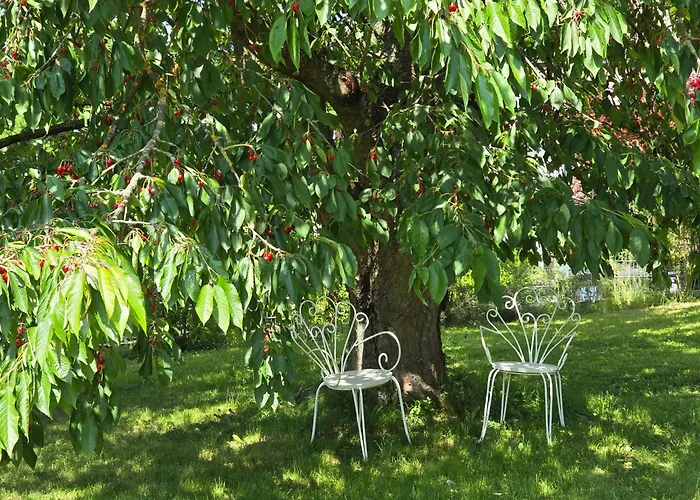 Exklusive - Direkt Am Waldrand - Grosser Garten Kompett Umzaeunt - Hunde Willkommen - 2 Private Stellplaetze * Bad Salzschlirf