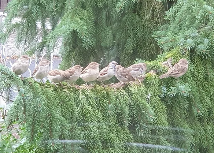 Apartmán Exklusive - Direkt Am Waldrand - Grosser Garten Kompett Umzaeunt - Hunde Willkommen - 2 Private Stellplaetze *