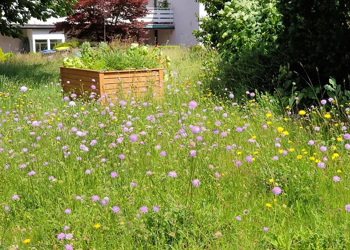 Exklusive - Direkt Am Waldrand - Grosser Garten Kompett Umzaeunt - Hunde Willkommen - 2 Private Stellplaetze Apartmán Bad Salzschlirf