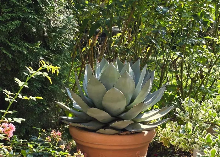 Exklusive - Direkt Am Waldrand - Grosser Garten Kompett Umzaeunt - Hunde Willkommen - 2 Private Stellplaetze Apartmán