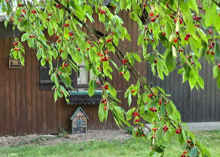 Apartmán Exklusive - Direkt Am Waldrand - Grosser Garten Kompett Umzaeunt - Hunde Willkommen - 2 Private Stellplaetze Bad Salzschlirf