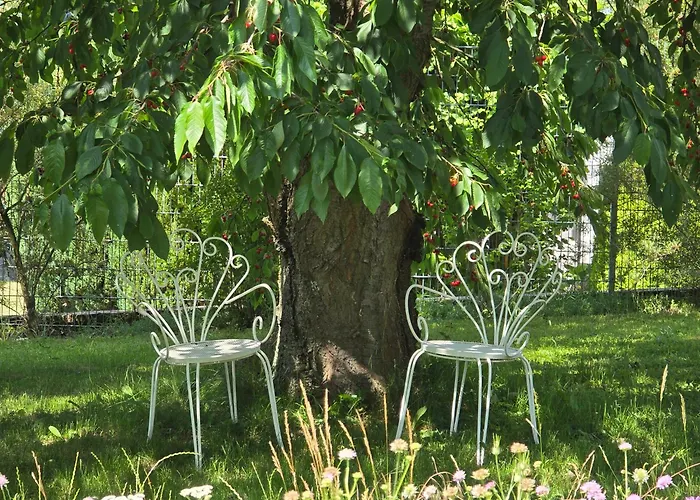 Exklusive - Direkt Am Waldrand - Grosser Garten Kompett Umzaeunt - Hunde Willkommen - 2 Private Stellplaetze * Bad Salzschlirf