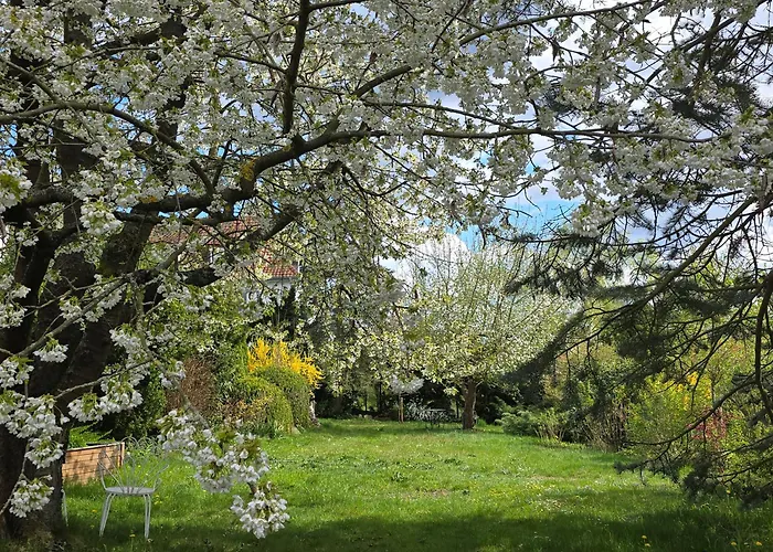 Apartmán Exklusive - Direkt Am Waldrand - Grosser Garten Kompett Umzaeunt - Hunde Willkommen - 2 Private Stellplaetze Bad Salzschlirf