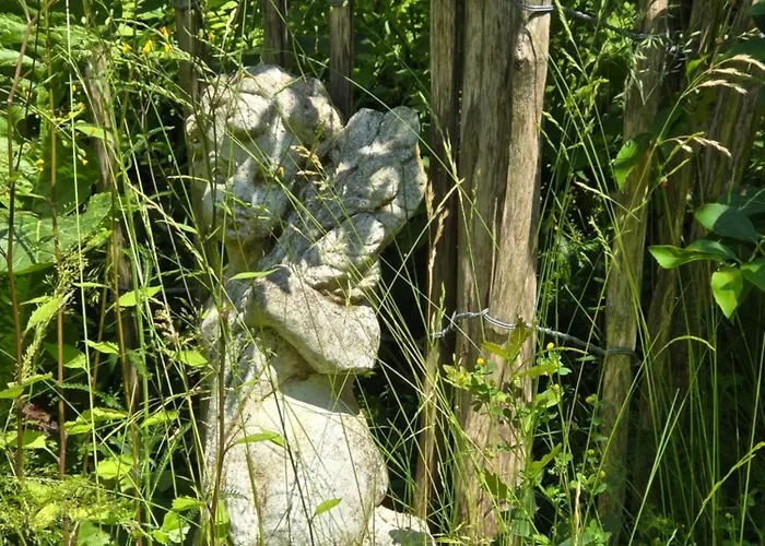 Exklusive - Direkt Am Waldrand - Grosser Garten Kompett Umzaeunt - Hunde Willkommen - 2 Private Stellplaetze