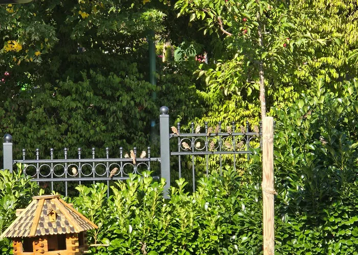 Exklusive - Direkt Am Waldrand - Grosser Garten Kompett Umzaeunt - Hunde Willkommen - 2 Private Stellplaetze Apartmán Bad Salzschlirf