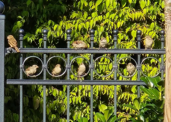 Apartmán Exklusive - Direkt Am Waldrand - Grosser Garten Kompett Umzaeunt - Hunde Willkommen - 2 Private Stellplaetze *