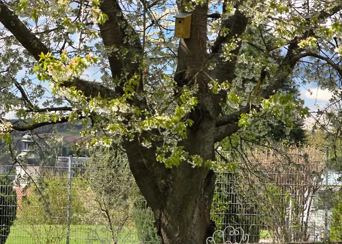 Apartmán Exklusive - Direkt Am Waldrand - Grosser Garten Kompett Umzaeunt - Hunde Willkommen - 2 Private Stellplaetze