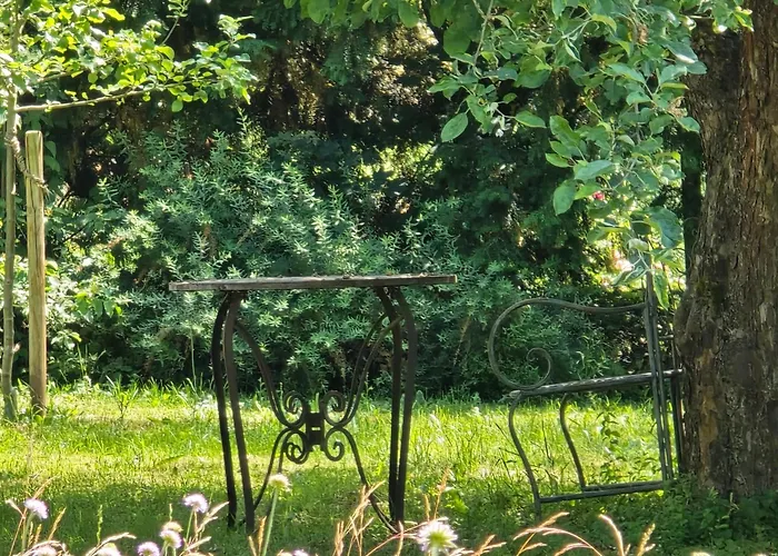 Apartmán Exklusive - Direkt Am Waldrand - Grosser Garten Kompett Umzaeunt - Hunde Willkommen - 2 Private Stellplaetze Bad Salzschlirf