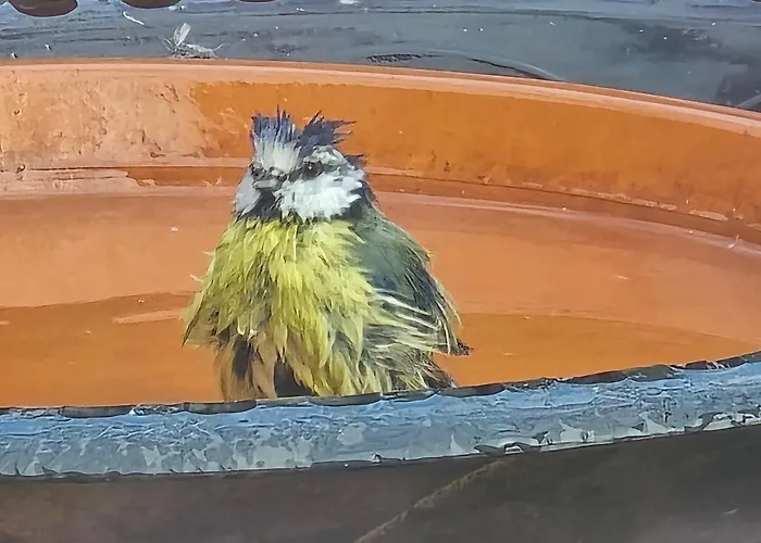 Apartmán Exklusive - Direkt Am Waldrand - Grosser Garten Kompett Umzaeunt - Hunde Willkommen - 2 Private Stellplaetze