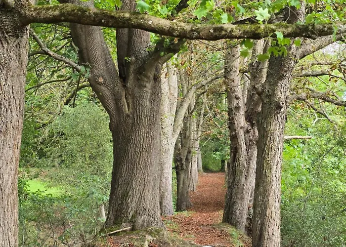 Apartmán Exklusive - Direkt Am Waldrand - Grosser Garten Kompett Umzaeunt - Hunde Willkommen - 2 Private Stellplaetze