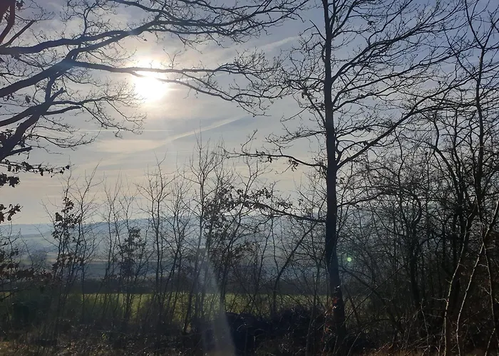 Apartmán Exklusive - Direkt Am Waldrand - Grosser Garten Kompett Umzaeunt - Hunde Willkommen - 2 Private Stellplaetze