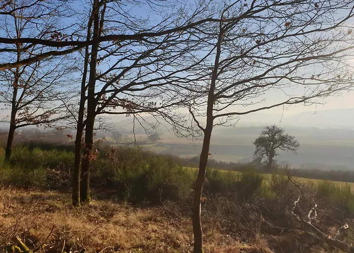 Apartmán Exklusive - Direkt Am Waldrand - Grosser Garten Kompett Umzaeunt - Hunde Willkommen - 2 Private Stellplaetze