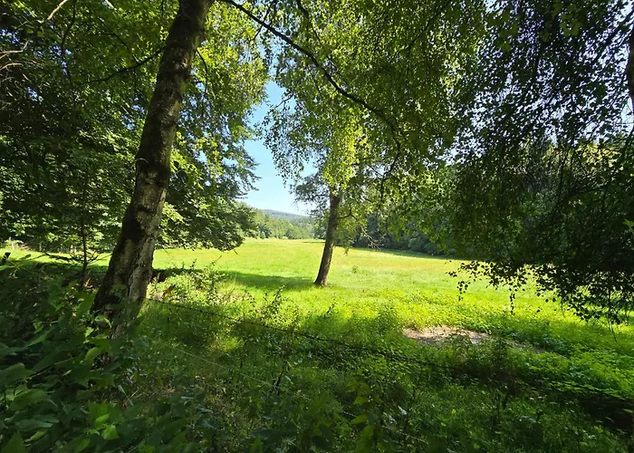 Exklusive - Direkt Am Waldrand - Grosser Garten Kompett Umzaeunt - Hunde Willkommen - 2 Private Stellplaetze