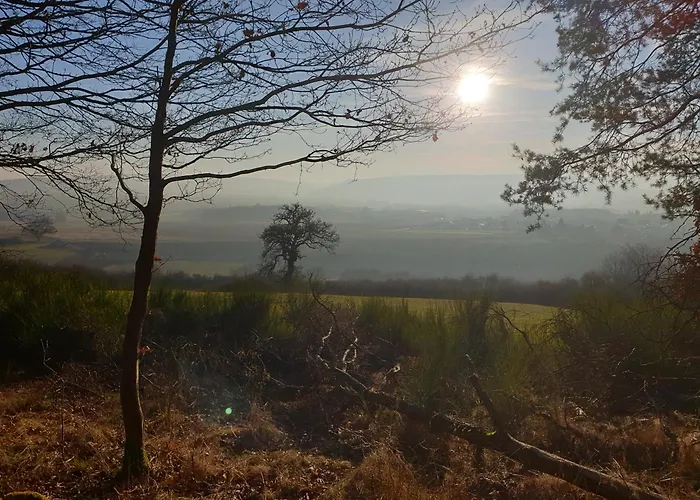 Exklusive - Direkt Am Waldrand - Grosser Garten Kompett Umzaeunt - Hunde Willkommen - 2 Private Stellplaetze Apartmán Bad Salzschlirf