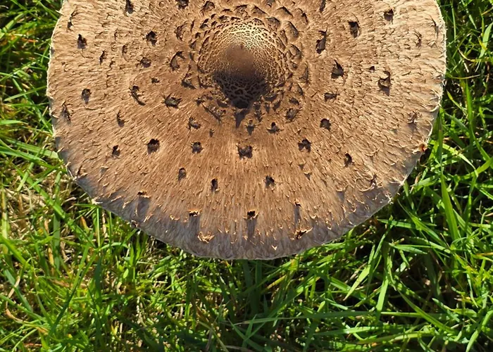 Apartmán Exklusive - Direkt Am Waldrand - Grosser Garten Kompett Umzaeunt - Hunde Willkommen - 2 Private Stellplaetze Bad Salzschlirf