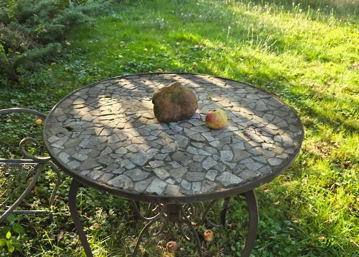 Exklusive - Direkt Am Waldrand - Grosser Garten Kompett Umzaeunt - Hunde Willkommen - 2 Private Stellplaetze Apartmán