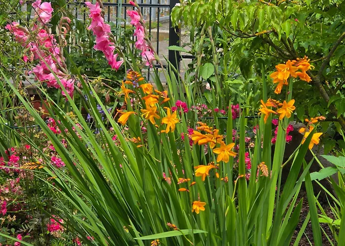 Exklusive - Direkt Am Waldrand - Grosser Garten Kompett Umzaeunt - Hunde Willkommen - 2 Private Stellplaetze Apartmán Bad Salzschlirf